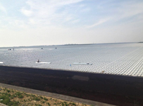 山東高密金太陽(yáng)項(xiàng)目