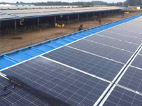 組件SSG噴涂項(xiàng)目